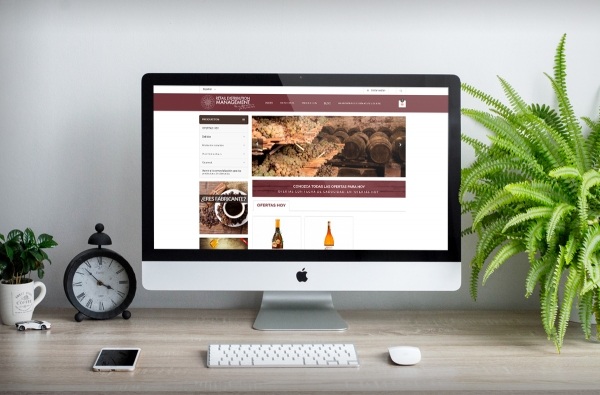 marketing-and-you-desarrollo-web-rdm